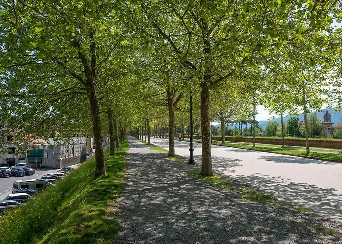 Cittadella Homes Lukka